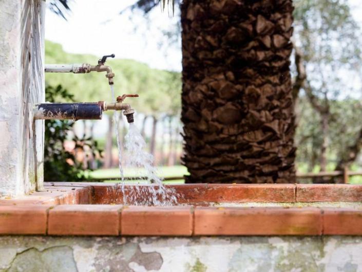 Agriturismo Alberese Sasso Rosso Villa Bagian luar foto
